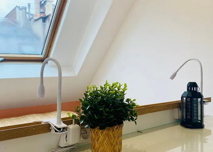 Apartamento Cocon Des Champs-élysées *