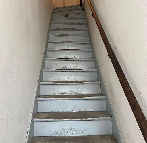 Cocon Des Champs-élysées